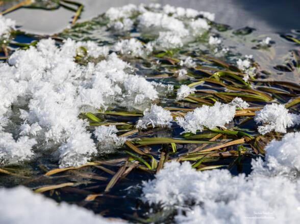 Die Schönheit der Schneekristalle ist vergänglich.