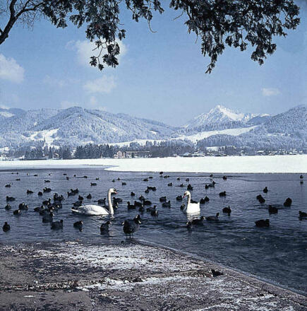 Winter am Tegernsee