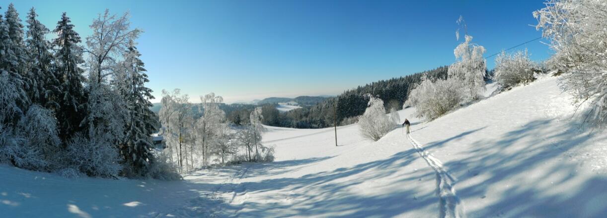 Aufstieg beim Burgstaller