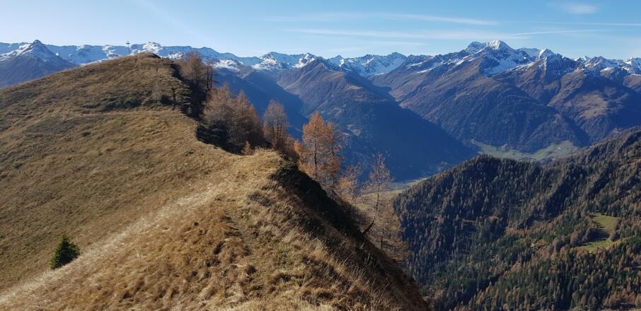 Blick auf den Planlesbichl