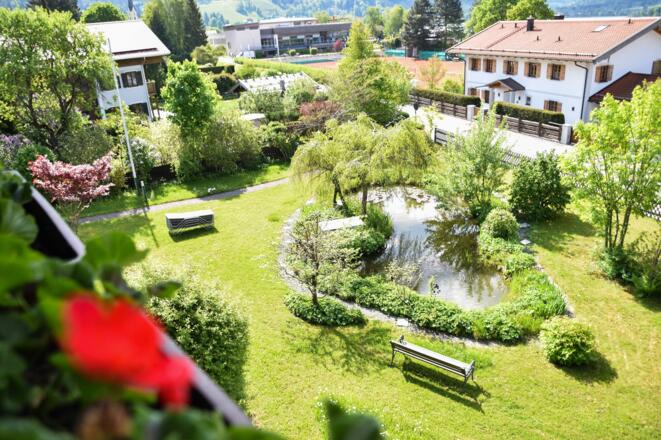 Blick in den Garten