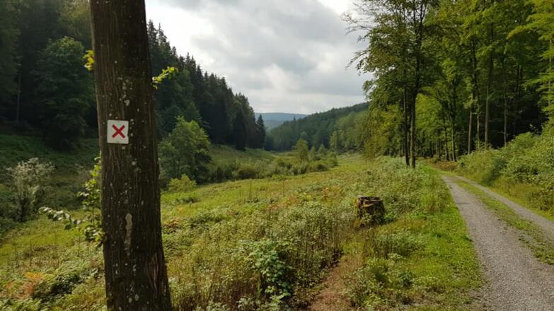 Vom Bomigsee zum Eichsee