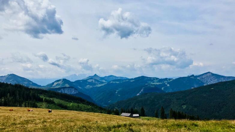 Blick von der Pillsteinalm zum Faistenauer Schafberg