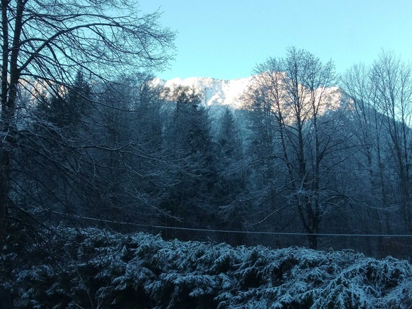 Ausblick