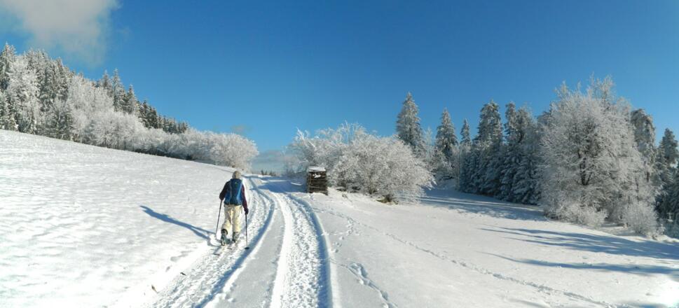 am Weg zur Einsiedlermauer
