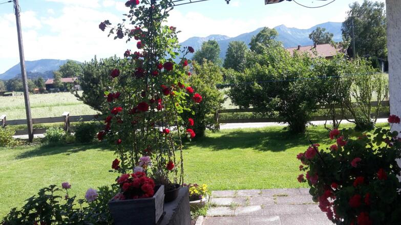 Ausblick