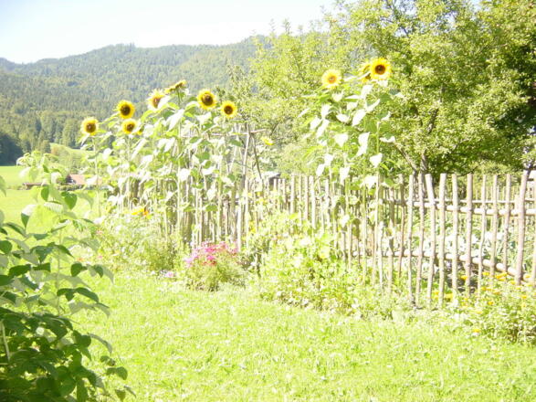 Gemüsegarten mit Blumeneinfassung