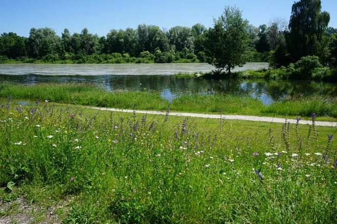 Zusammenfluss von Inn und Mangfall am Innspitz