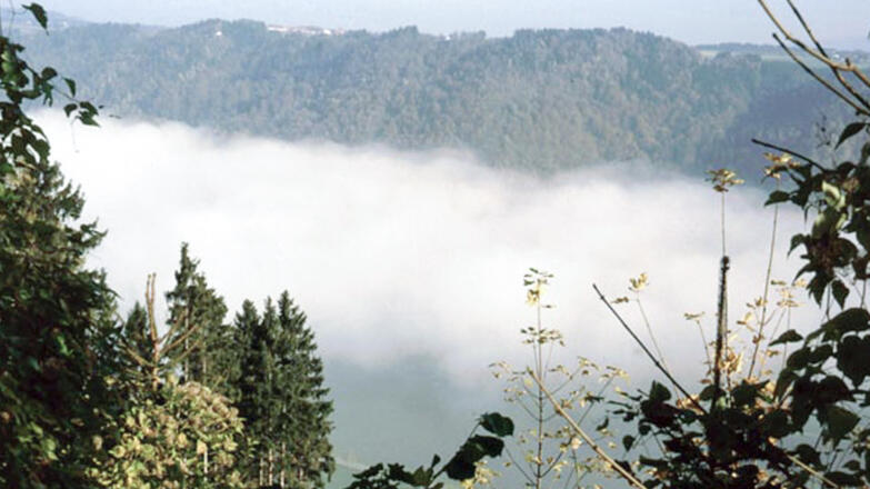 Oberes-Donau-und-Aschachtal_Nebelbildung-im-oberen-Donautal_c-Grims-Franz_web