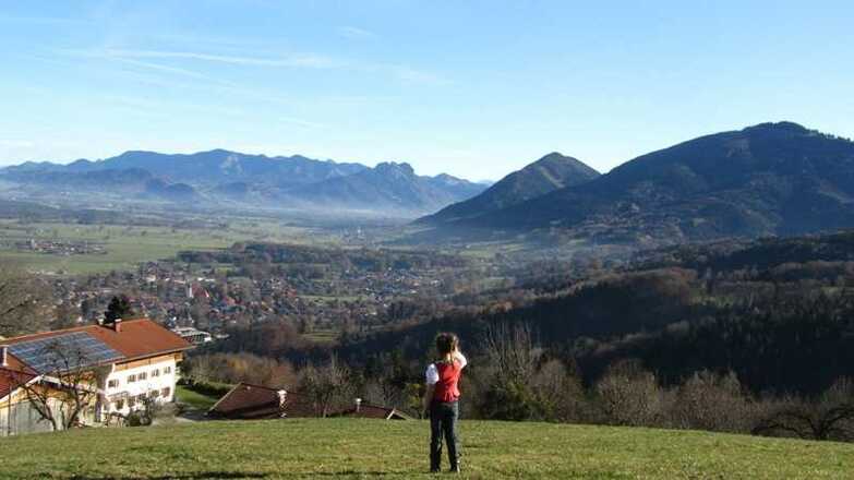 Ausblick