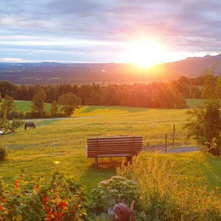 Morgenstimmung