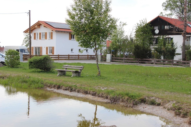 Der Weiher mit Enten, Fischen und Fröschen