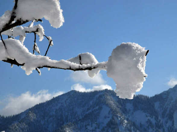 https://d1pgrp37iul3tg.cloudfront.net/objekt2_pics/obj_full_36312_002.jpg