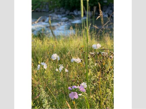 Haus Weißach in Rottach-Egern