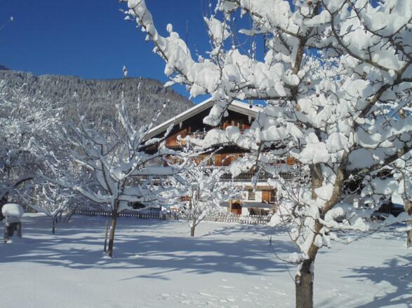 Der Obstgarten im Schnee!