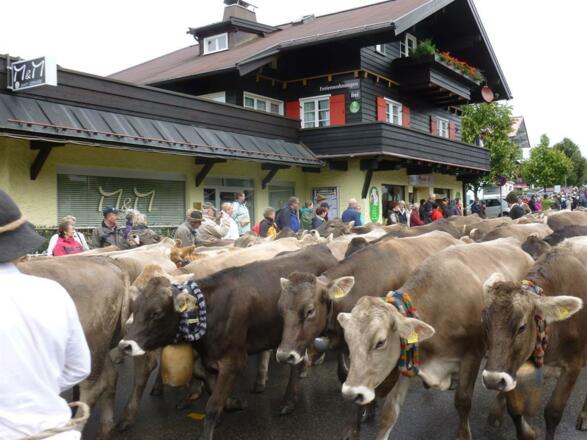 Viehscheid
