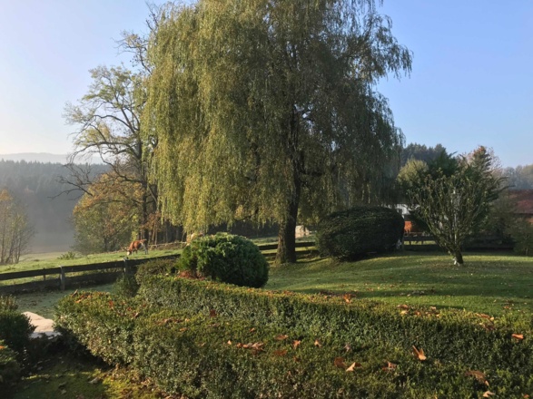 Ferienhaus Enke Garten