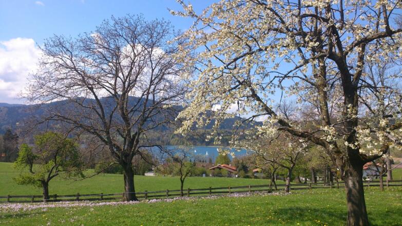Ausblick Garten