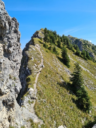 Weg beim Feigenkopf