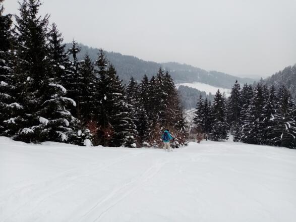 Abfahrt beim Zeitlhof