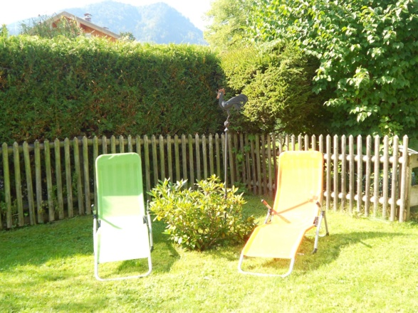 Blick in den Garten