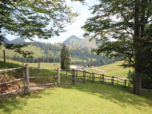 Blick auf den Garten und die Umgebung