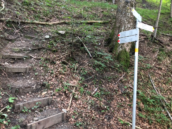 ab hier geht es steil im Wald bergauf