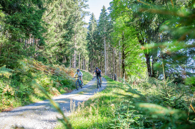 Landschaftlich wunderschöne MTB Tour mit grandiosen Ausblicken auf das Flachau- und Ennstal