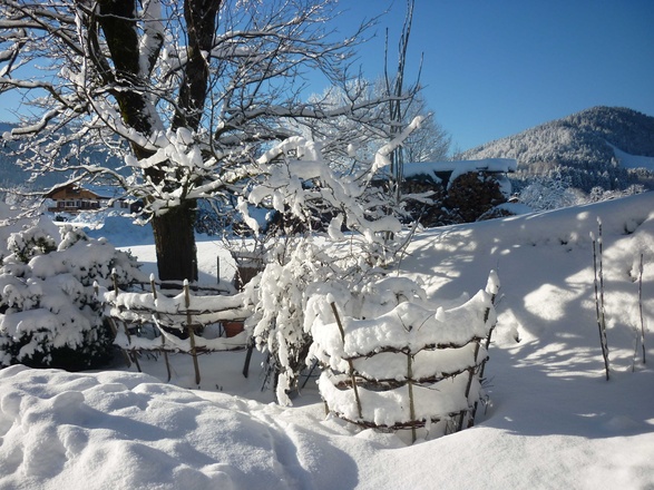 Blick vom Moarhof Richtung Kirche