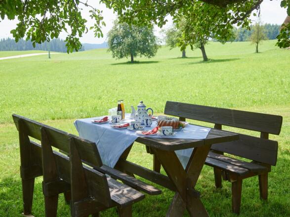 Picknick unter dem Nussbaum