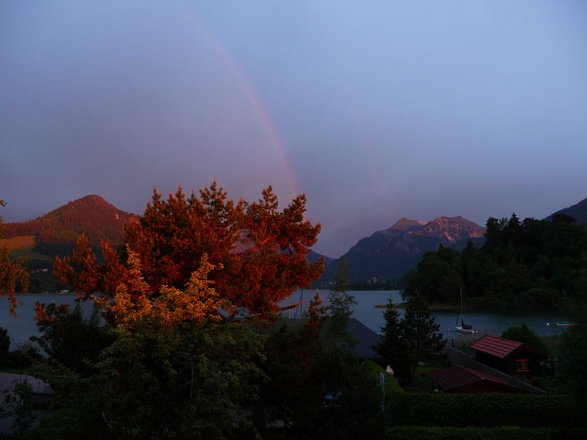 Ausblick vom Balkom zum See