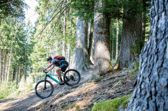 Einsame Wald- & Forststraßen, coole Trail-Passagen und ein atemberaubender Ausblick aufs Dachstein Massiv warten bei dieser Tour auf euch