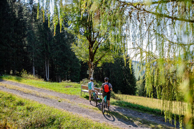 Einsame Wald- & Forststraßen, coole Trail-Passagen und ein atemberaubender Ausblick aufs Dachstein Massiv warten bei dieser Tour auf euch