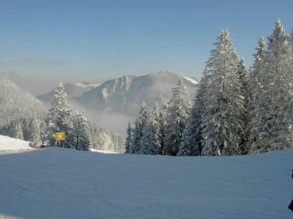 https://d1pgrp37iul3tg.cloudfront.net/objekt2_pics/obj_full_27799_003.jpg