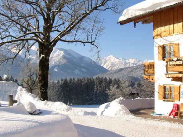 Winter
