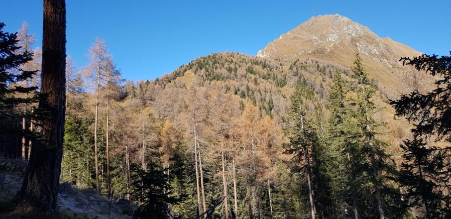 Planlesbichl (bewaldeter Kogel) und Hinteregger Kogel