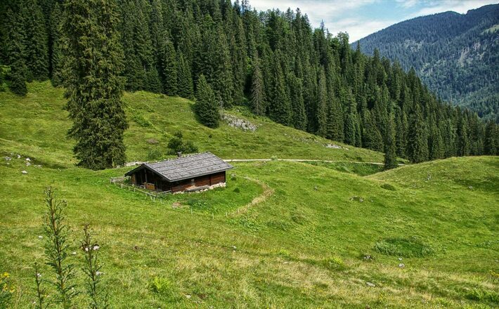 Die Dalsenalm im Lattengebirge