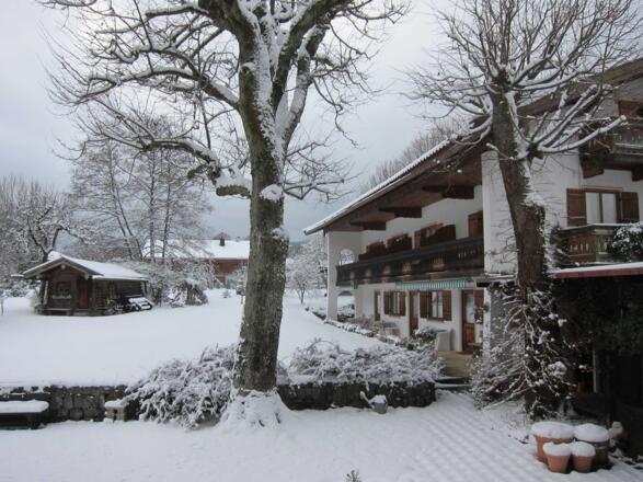 winterlicher Garten
