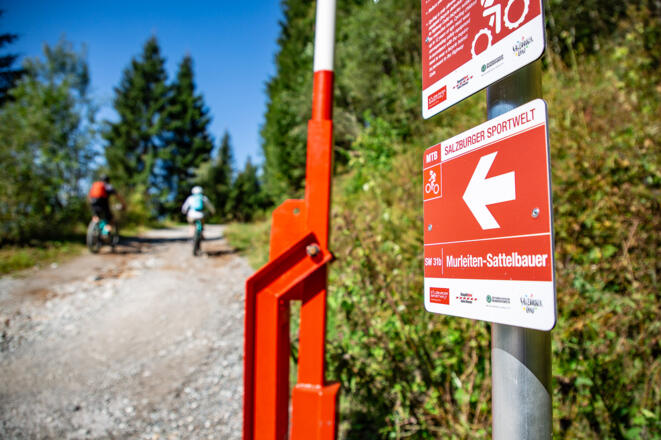 Einsame Wald- & Forststraßen, coole Trail-Passagen und ein atemberaubender Ausblick aufs Dachstein Massiv warten bei dieser Tour auf euch