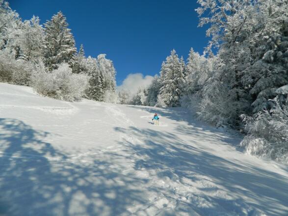 Abfahrt beim Burgstaller