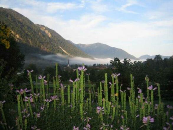 Hebstlicher Morgennebel zieht ab