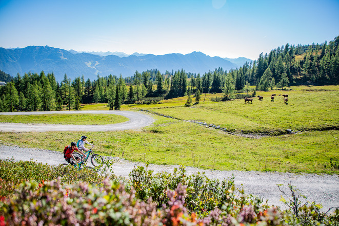 Bei tollen Anstiegen und einem grandiosen Bergpanorama zeigt sich das Skigebiet im Sommer bei der Frauenalm-Runde von seiner besten Seite