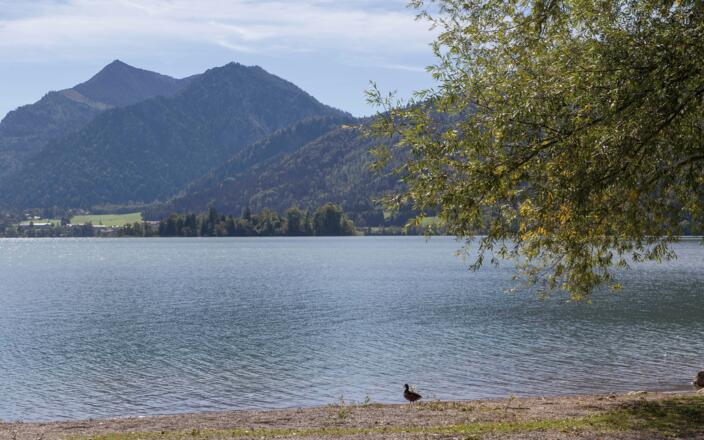 Ausblick am See