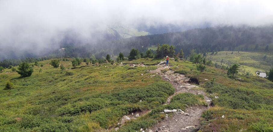 Kurz vor dem Gipfel wird der bisher leichte Bergweg zum ...
