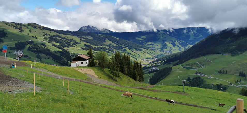 Aussicht von der Mittelstation 12erKogel