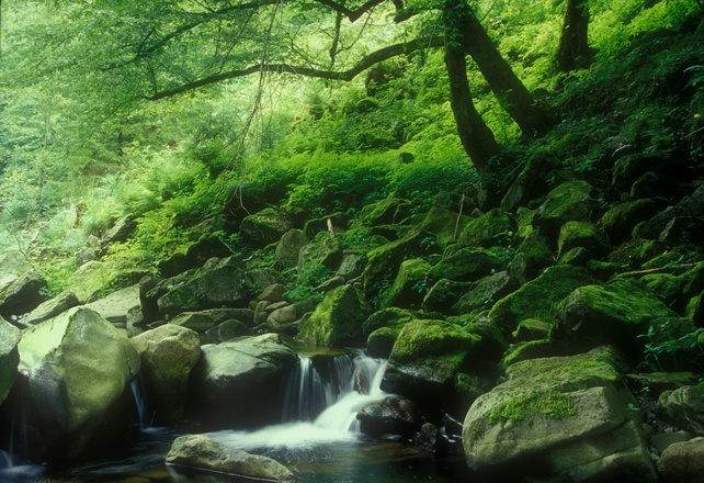 Unberührte Natur