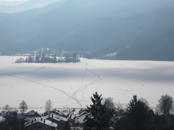 Blick auf die Insel Wörth