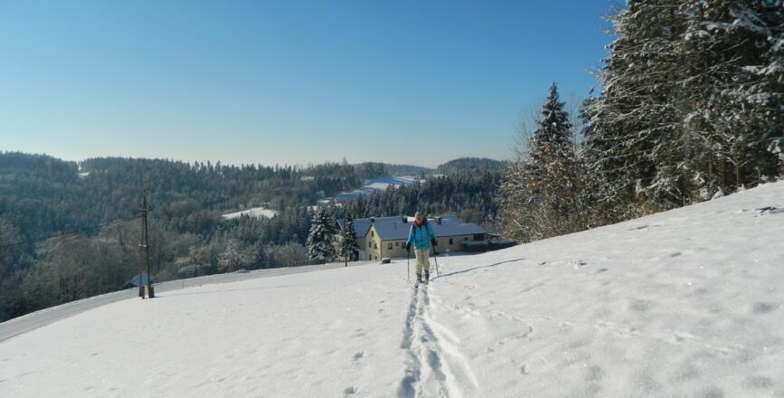Aufstieg vom Mühlbach in Kleinerlau