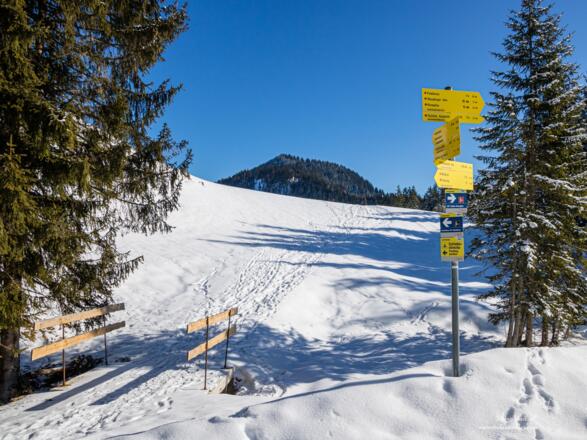 Wir betreten die Rettenbachalm.