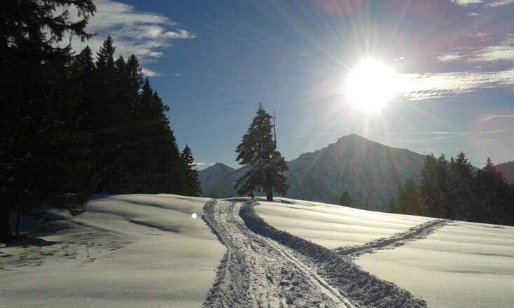 Winterwanderung , Wahlmoos, Weg zur Aueralm